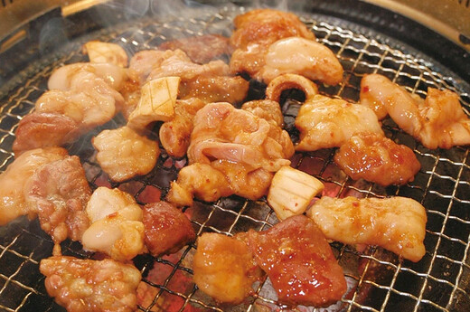 厳選ホルモン焼肉セット(3人前)