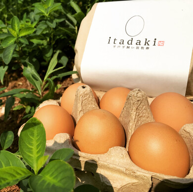 平飼い放牧卵 itadaki (24個）