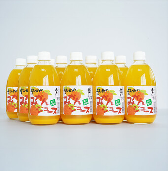 えひめのみかんストレートジュース 500ml×12本セット