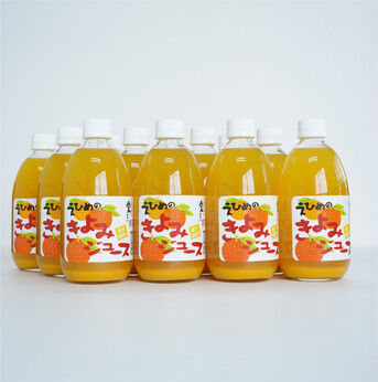 きよみストレートジュース 500ml×12本セット