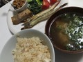 出汁でご飯炊いて鯛めしに！旨味たっぷり。沖ぎすも焼きました！
