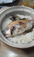鯛めし、おいしそうでしょ！！