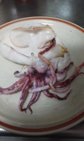 爽やかな白いか、です。