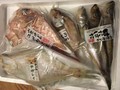 開封時