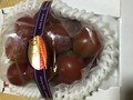 袋の裏面はメッシュになっています。