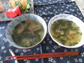 食べ比べてみました