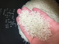 精米がとっても綺麗です