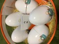 たまごがコロコロ入って可愛いです