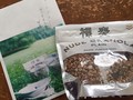 届きました