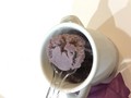 冷やしてスプーンですくうと・・・！