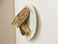 中にはたっぷりクリームが！