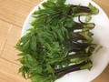 新鮮
