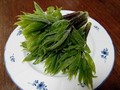 ハカマをとったコシアブラ