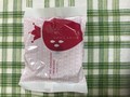 ケースにしっかり入っていました！