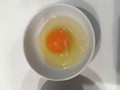 卵が盛り上がってる！