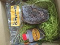 届いた時の状態