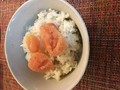 あったかごはんに明太子