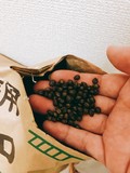 ひとつひとつから良い香りが立ち込めます