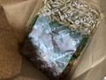 油紙を開いた時の感動といったら！