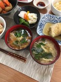 味噌汁の飲み比べ！右が素朴です