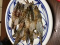 下処理された車海老！