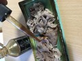 スポイトで垂らします！