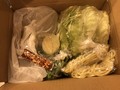梱包状態