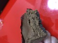 断面からも濃厚さが一目瞭然！