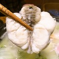 プリプリで弾力のある身がおいしい♪