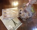 とどいた中身。パンフの写真が商品と違う。