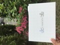 ゴージャスな1日を