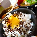 黄色と焦茶と白