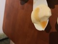 バニラプリンにバニラソースをかけました。