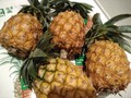 開梱4玉