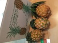 箱も可愛い！