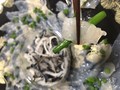 細ねぎを散らして、巻いて食べました