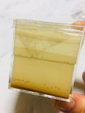 綺麗な3層。