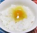 濃厚な新鮮卵の卵かけご飯