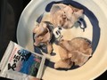 全ての部位をシャブシャブして
