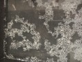 本当にアクが少ない！