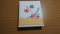 紅葉の絵の熨斗が素敵です。