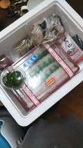 しっかり入ってます