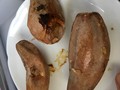 小ぶりなサイズでちょうどいい！