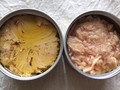 素材の違いが面白い