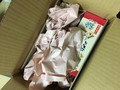 紙の緩衝材と一緒に入っています