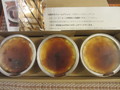 説明書とパンフレットも同封されてます