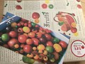 可愛くお洒落に包装されて届きます。