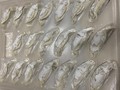 張り付かず柔らか生餃子で到着
