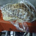 しっかりした化粧箱から取り出したところ