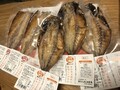 嬉しい5枚入り！